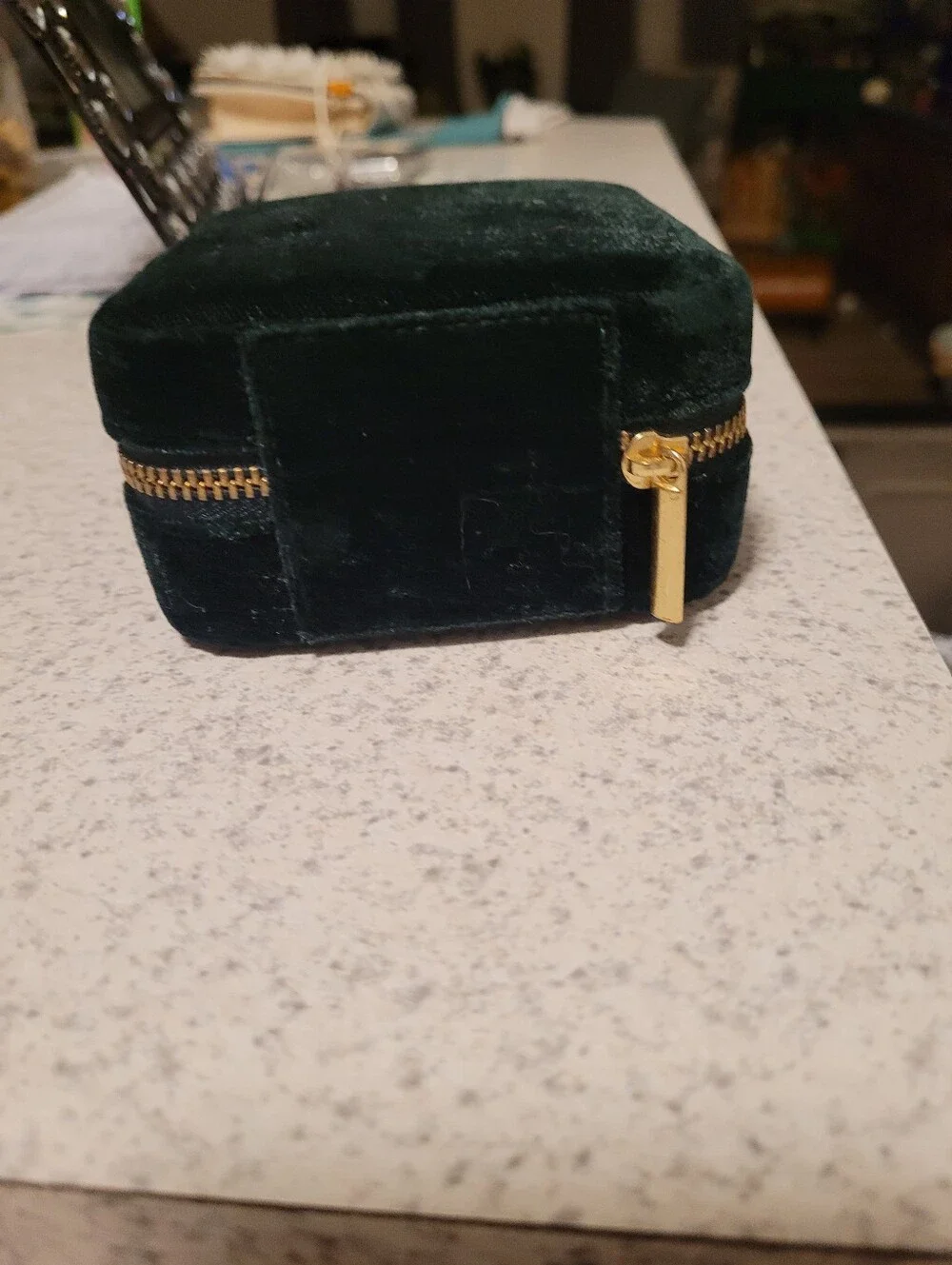 J. Crew Green Jewelry Travel Case with Cream Interior